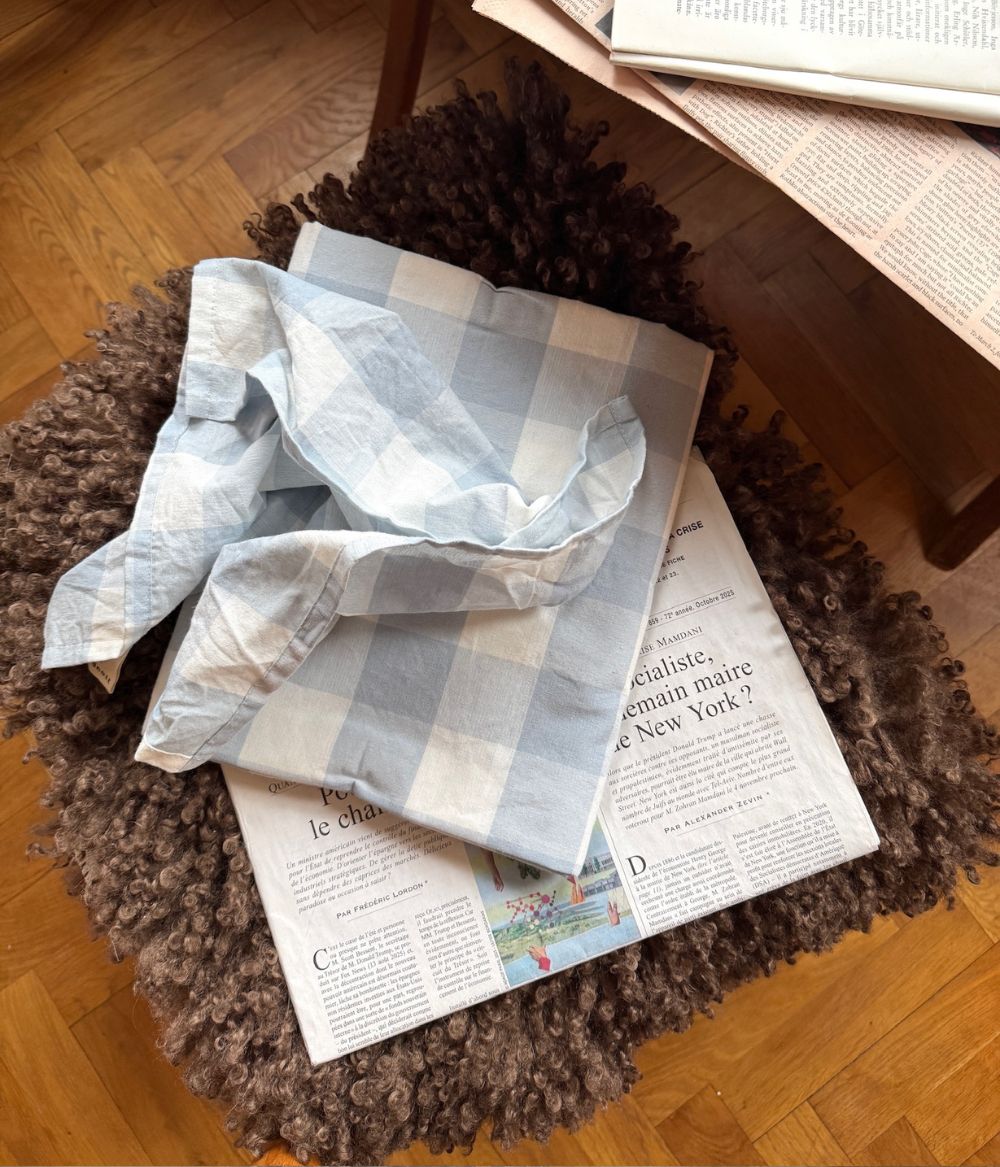 Tablecloth Bluey