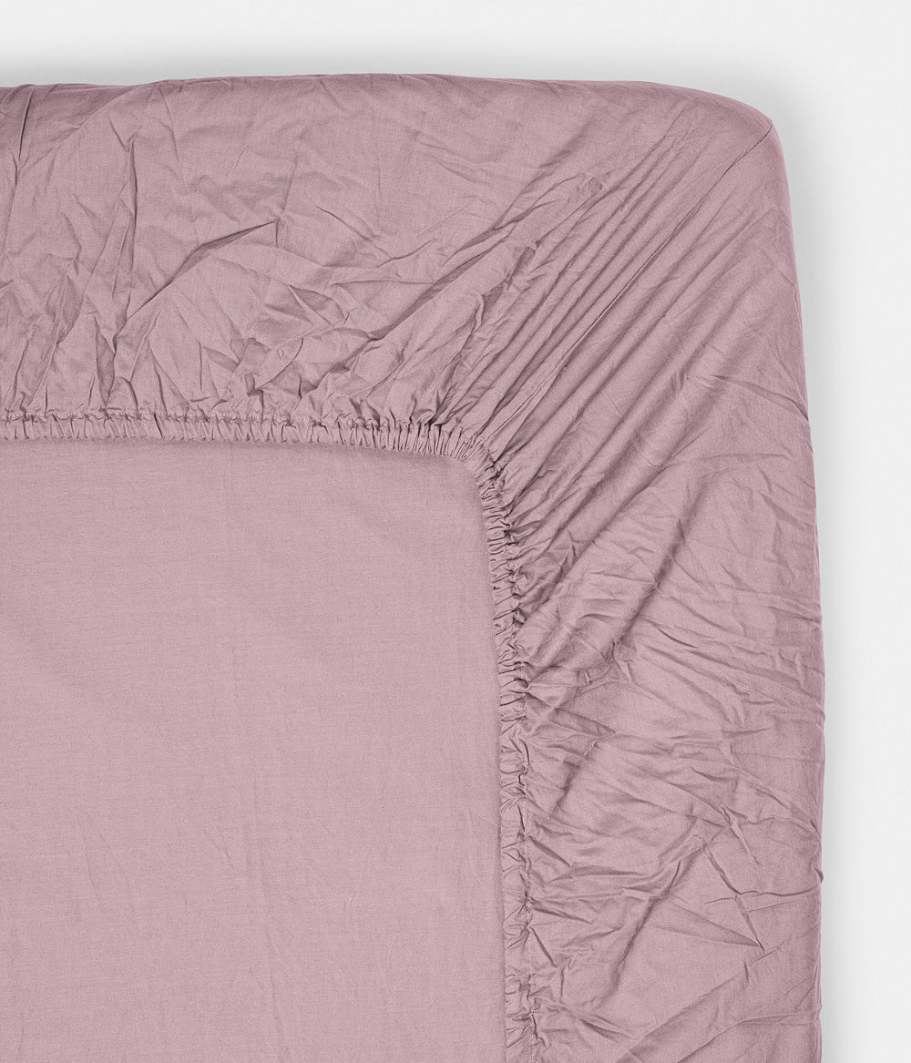 Fitted sheet Aster