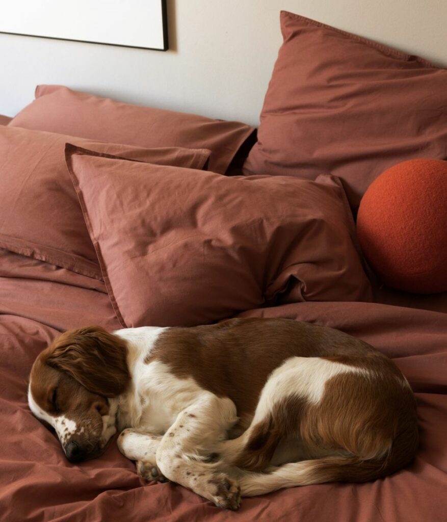 Terracotta pillow case in 100 organic cotton