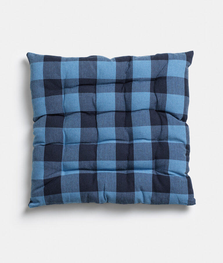 Blue checked seat cushion