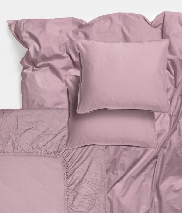Aster bedset